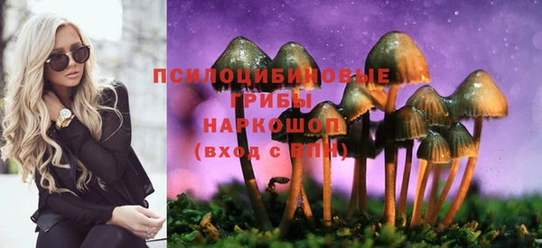 амф Бронницы