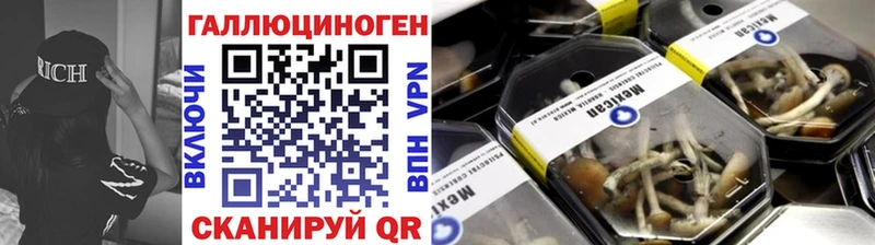 Псилоцибиновые грибы мицелий  Купить закладки  Дегтярск 